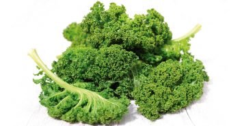 The Benefits Of Kale