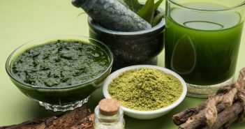 Matcha’s Amazing Qualities Which Qualify It as Superfood