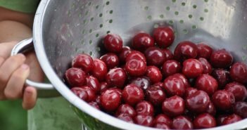 Here’s why Cherries are Beneficial for You