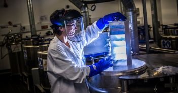 Research Indicates That Immunotherapy Treatment Before Surgery Does More Good Than Harm