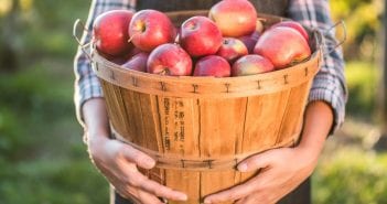 The Do’s & Don’ts of Fruit Eating: Know These Seven Rules