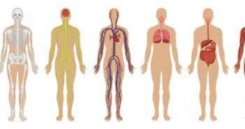 Seven Crazy Things You Probably Didn’t Know About Your Body