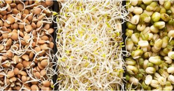 Here Are All The Tips You Need To Hop Onto the Sprouting Bandwagon!
