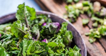 Healthy Nutrition: Eat Green for the Win