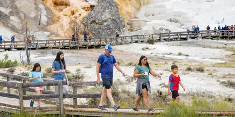 Discover the Best Times to Visit Yellowstone National Park
