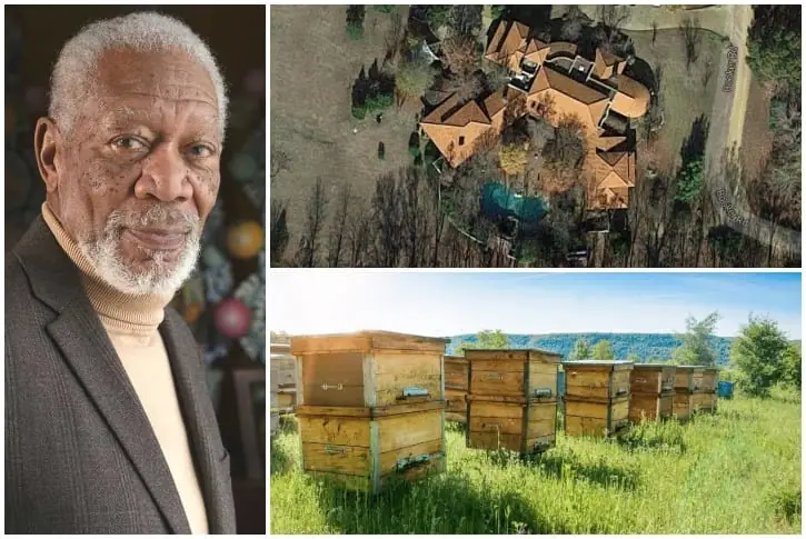 Morgan Freeman – Price Undisclosed, Mississippi