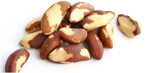 Here’s How Brazil Nuts Can Help You Prevent Chronic Diseases