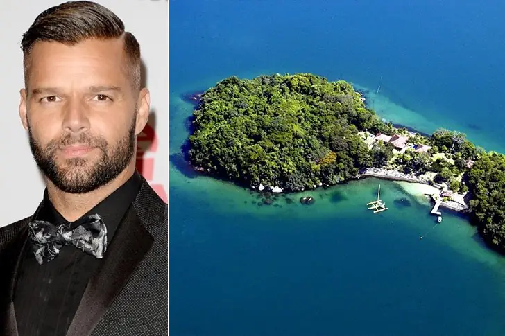 Ricky Martin – Brazil, $8 Million