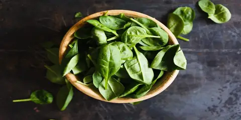 Ten Nutritious Herbs You Should Definitely Grow in Your Garden