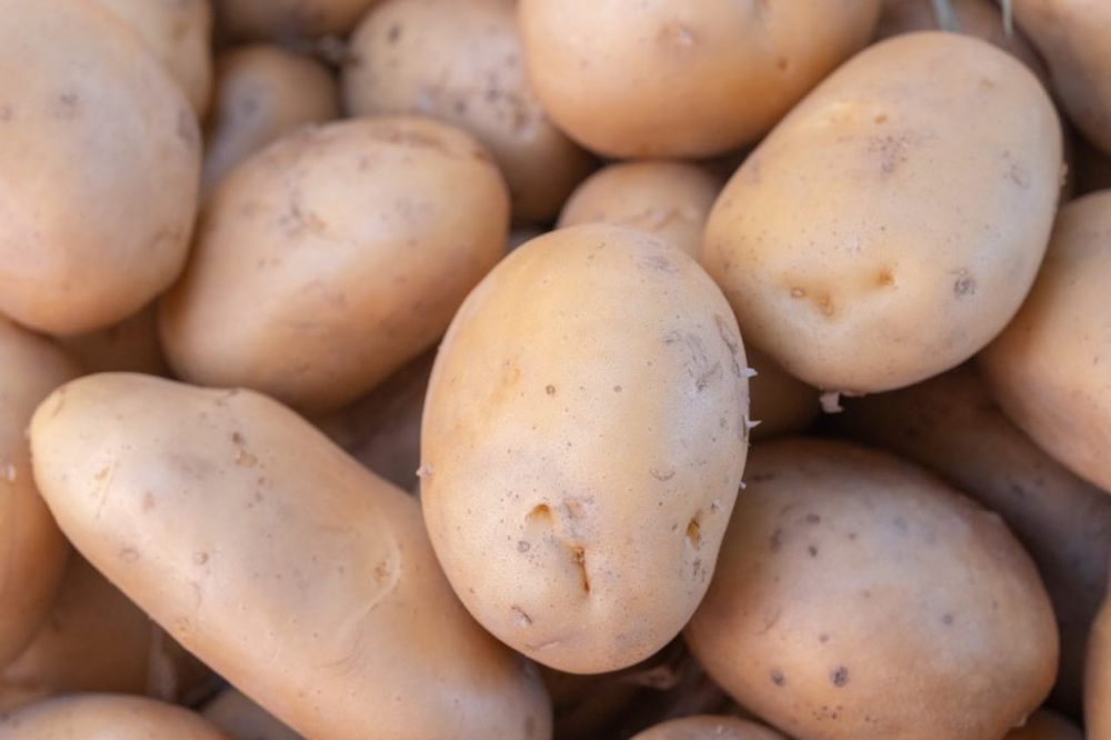 New Study Reveals Indigenous Andean People Have Genetically Adapted Potato-rich Diet