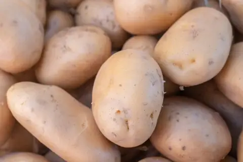 New Study Reveals Indigenous Andean People Have Genetically Adapted Potato-rich Diet