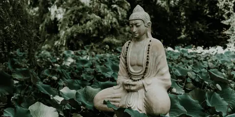 Meditate and Change Your Life