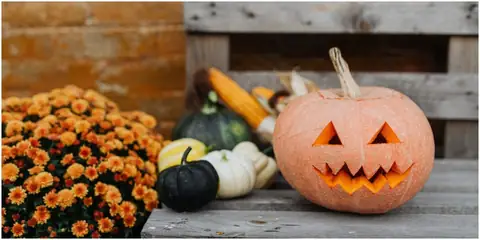 How to Deck Up Your House in a Spooky Way This Halloween!