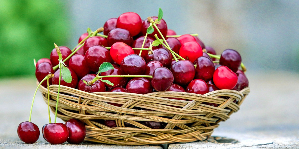 Here’s why Cherries are Beneficial for You Weight Loss Groove