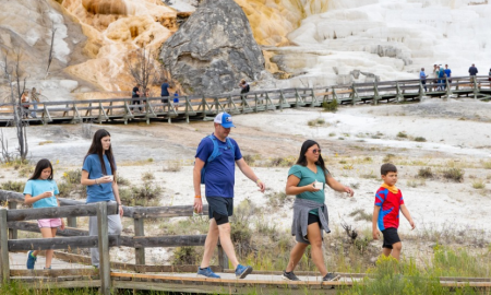 Discover the Best Times to Visit Yellowstone
